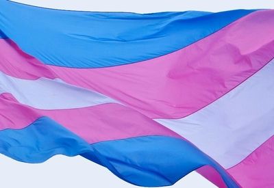 point5cc-blog-transflag (1).jpg